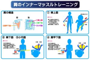 腱板は運動で治せるのでしょうか?